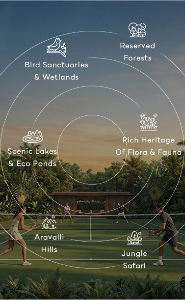 Natural layout plan mobile