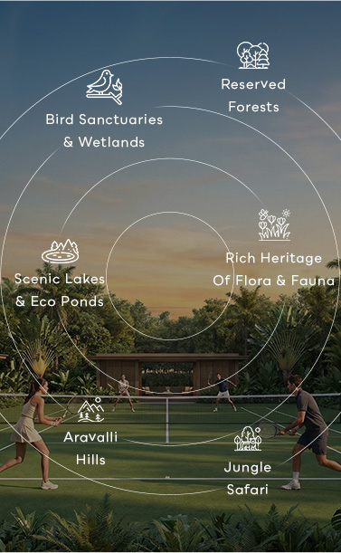Natural layout plan mobile